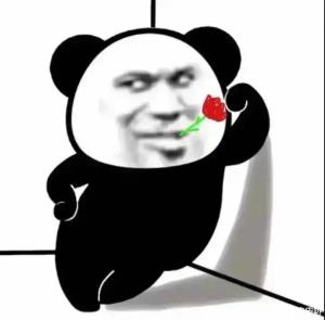 伴侣交友网